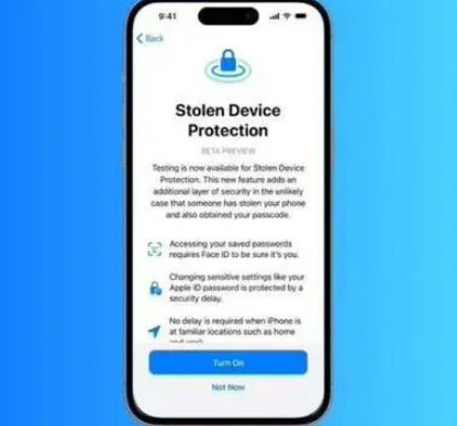 汝南苹果授权维修店分享被盗设备保护功能开启方法 