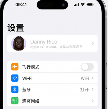 汝南appleID维修服务iPhone设置中Apple ID显示为灰色无法使用 