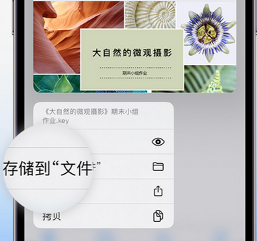 汝南apple维修中心分享iPhone文件应用中存储和找到下载文件