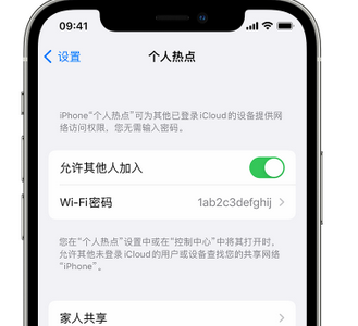 汝南apple服务站点分享iPhone上个人热点丢失了怎么办 