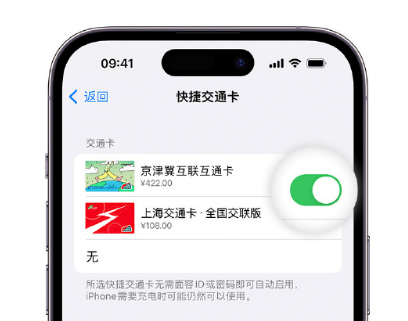 汝南apple维修点分享iPhone上更换Apple Pay快捷交通卡手绘卡面 