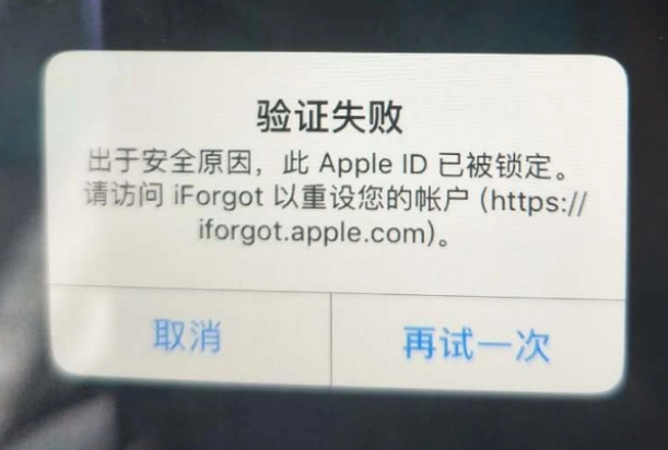 汝南iPhone维修分享iPhone上正常登录或使用AppleID怎么办 