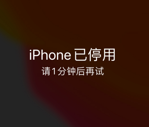 汝南苹果手机维修分享:iPhone 显示“不可用”或“已停用”怎么办？还能保留数据吗？ 