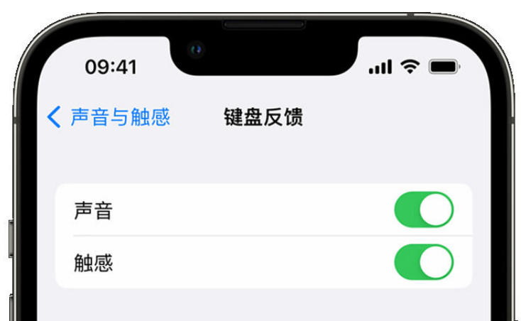 汝南苹果手机维修分享iPhone 14触感键盘使用方法 