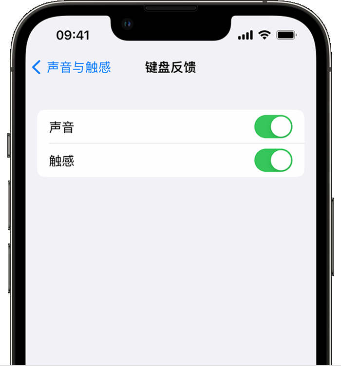 汝南苹果14维修店分享如何在 iPhone 14 机型中使用触感键盘 