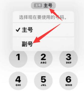 汝南苹果14维修店分享iPhone 14 Pro Max使用副卡打电话的方法 