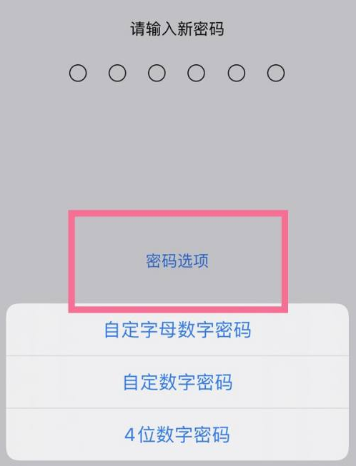 汝南苹果14维修分享iPhone 14plus设置密码的方法 