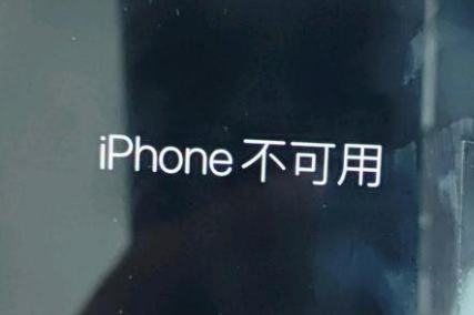 汝南苹果服务网点分享锁屏界面显示“iPhone 不可用”如何解决 