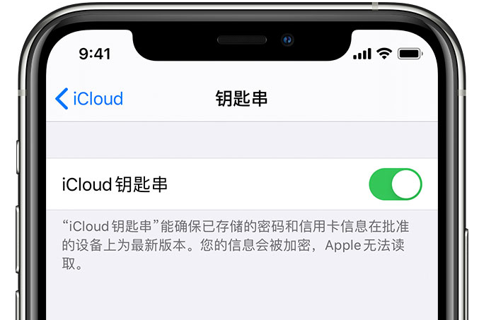 汝南苹果手机维修分享在 iPhone 上开启 iCloud 钥匙串之后会储存哪些信息 