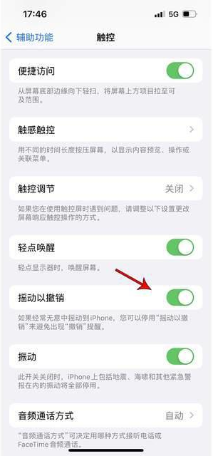 汝南苹果手机维修分享iPhone手机如何设置摇一摇删除文字 