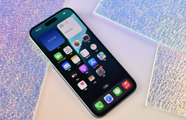 汝南苹果手机维修分享为什么大家不喜欢苹果iPhone 16 Plus 