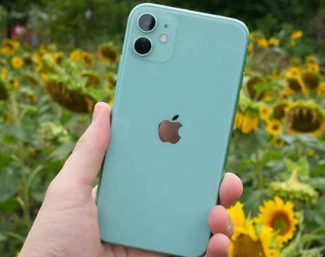汝南苹果维修点分享iPhone 11锁屏密码认知与使用科普 